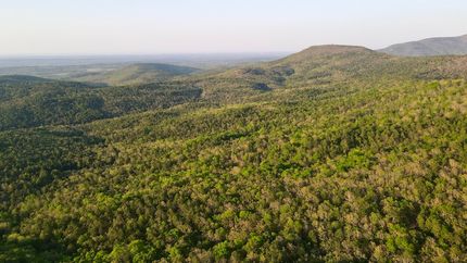 Timberland Property for sale in Le Flore County, Oklahoma