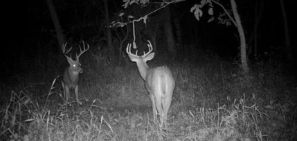 Recreational Property for sale in Clark County, Illinois