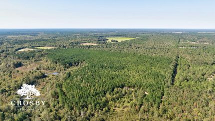Timberland Property for sale in Burke County, Georgia