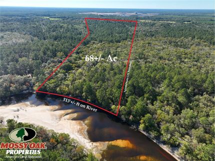 Timberland Property for sale in Brantley County, Georgia
