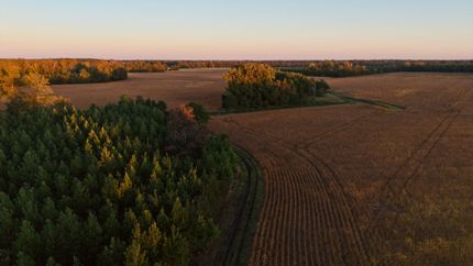 Farm Property for sale in Williamsburg County, South Carolina