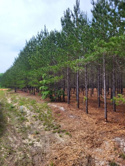 Farm Property for sale in Kershaw County, South Carolina