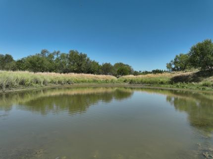 Farm Property for sale in Dimmit County, Texas