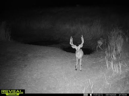 Ranch Property for sale in Moffat County, Colorado