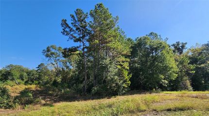 Property for sale in Polk County, Texas