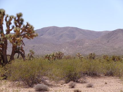 Property for sale in Mohave County, Arizona
