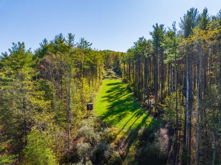 Hunting Land for sale in Harrison County, Ohio