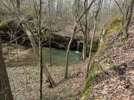 Ranch Property for sale in Johnson County, Illinois