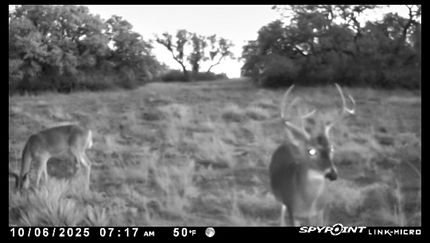 Ranch Property for sale in Brown County, Texas
