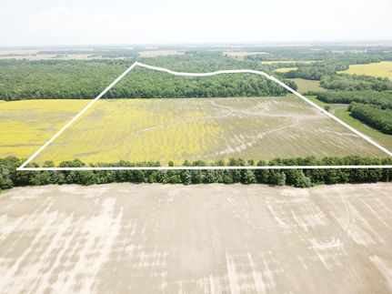 Ranch Property for sale in Wayne County, Illinois