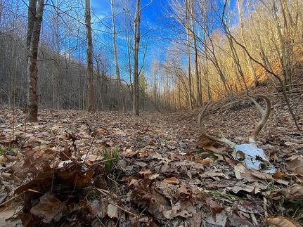 Undeveloped Land for sale in Vinton County, Ohio