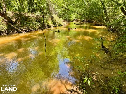 Property for sale in Dallas County, Alabama