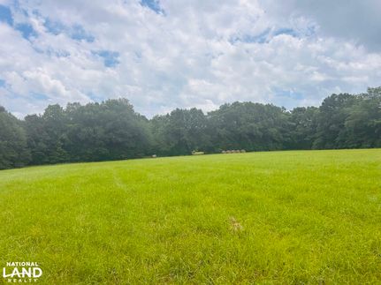 Undeveloped Land for sale in Marion County, Georgia