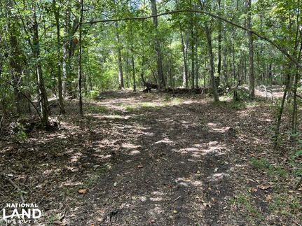 Property for sale in Clarendon County, South Carolina