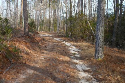 Timberland Property for sale in Northumberland County, Virginia