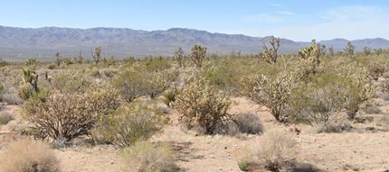 Farm Property for sale in Mohave County, Arizona
