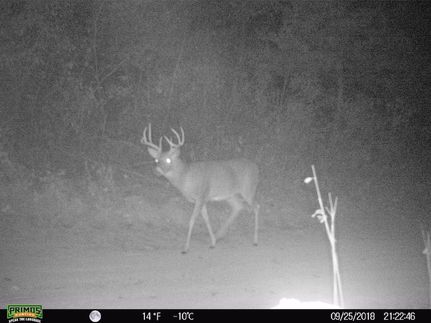 Ranch Property in Macon County, Missouri