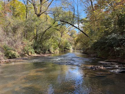 Undeveloped Land in Clay County, Alabama