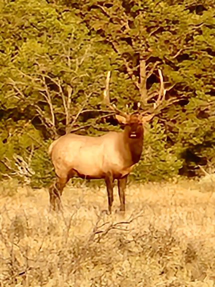Undeveloped Land for sale in Rio Arriba County, New Mexico