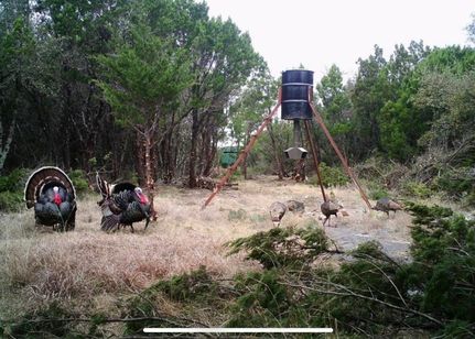 Property for sale in Callahan County, Texas