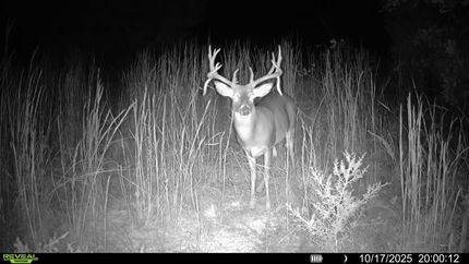 Timberland Property for sale in Creek County, Oklahoma