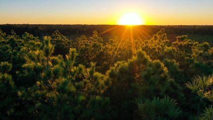 Property for sale in Morehouse Parish, Louisiana