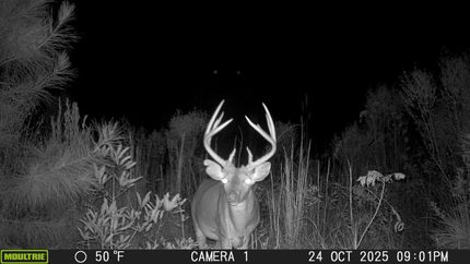 Hunting Land for sale in Butler County, Alabama