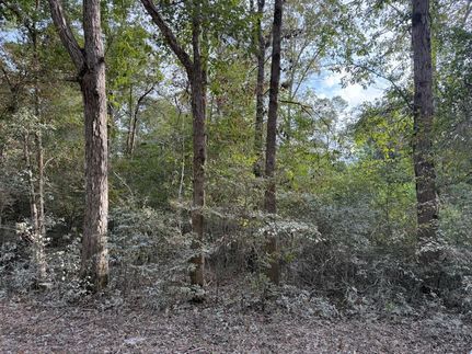 Undeveloped Land for sale in Polk County, Texas
