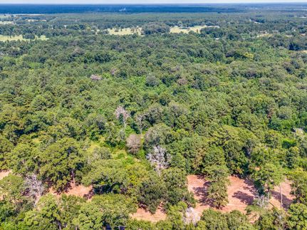 Undeveloped Land for sale in Liberty County, Texas