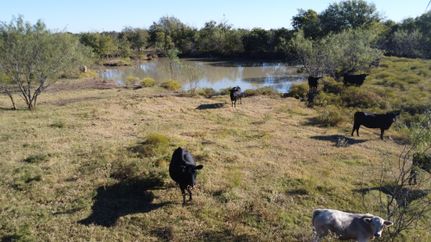 Farm Property for sale in Hill County, Texas