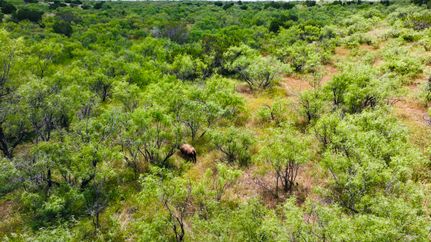 Hunting Land for sale in Motley County, Texas