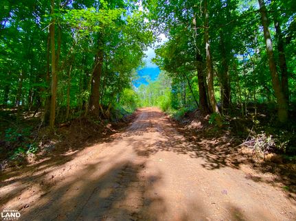 Undeveloped Land for sale in Perry County, Alabama
