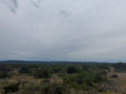 Horse Property for sale in Coke County, Texas