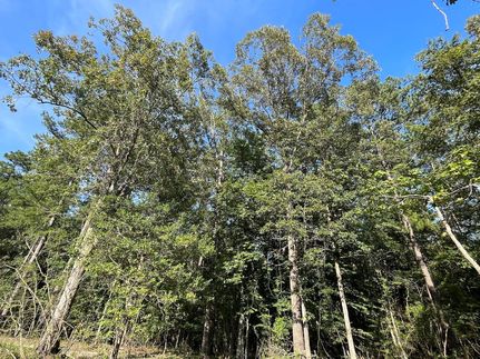 Property for sale in Wayne County, Mississippi