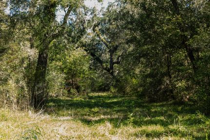 Hunting Land for sale in Brazoria County, Texas