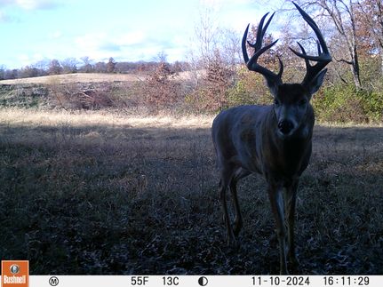 Property for sale in Sullivan County, Missouri