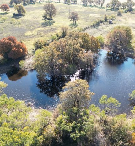 Undeveloped Land for sale in Callahan County, Texas