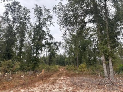 Ranch Property for sale in Covington County, Alabama