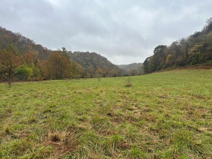 Farm Property for sale in Monroe County, Kentucky