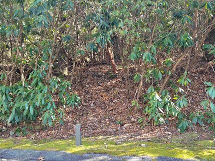 Property for sale in Greenville County, South Carolina