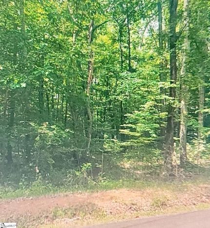 Property for sale in Greenville County, South Carolina