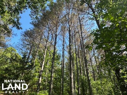 Property for sale in Franklin County, Alabama