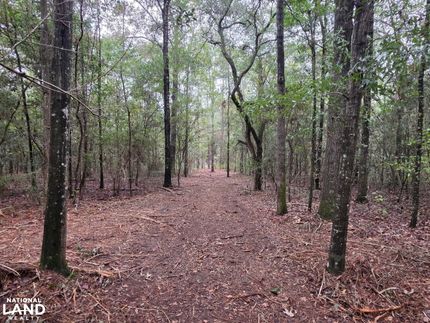 Timberland Property for sale in Geneva County, Alabama