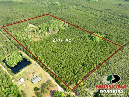 Undeveloped Land for sale in Charlton County, Georgia