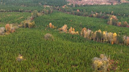 Property for sale in Richmond County, North Carolina