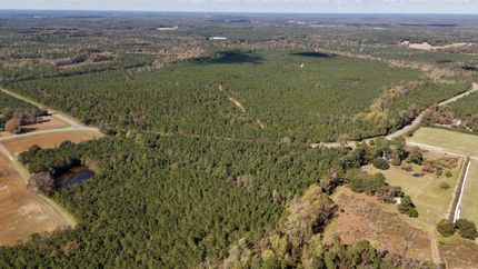 Timberland Property for sale in Bladen County, North Carolina