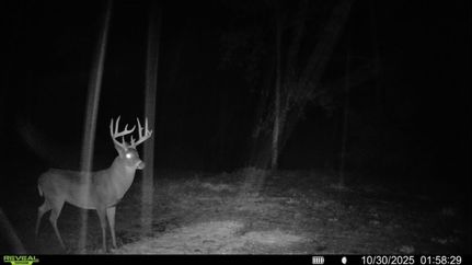 Residential Property for sale in Ohio County, Indiana