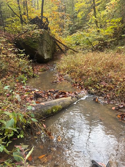 Ranch Property for sale in Perry County, Kentucky