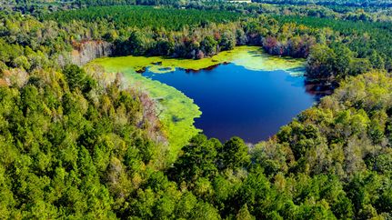 Property for sale in Evans County, Georgia