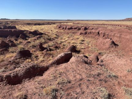 Ranch Property for sale in Apache County, Arizona